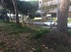 Allegato 8334