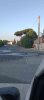 Allegato 19678