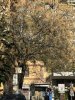 Allegato 19826