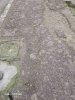 Allegato 20020