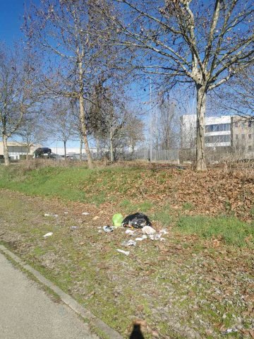 rifiuti abbandonati