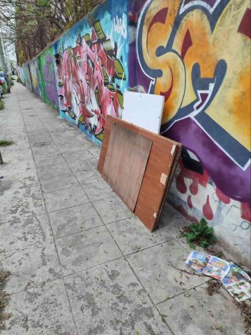 legno abbandonato