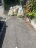Allegato 20123