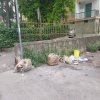 Allegato 20138