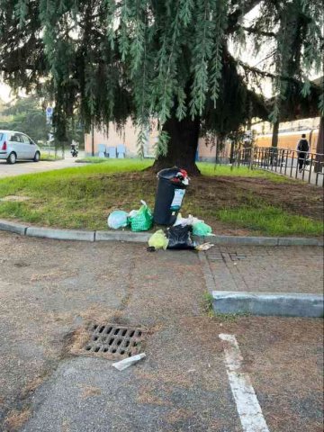 abbandono di rifiuti