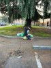 Allegato 20181
