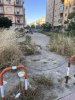 Allegato 20192