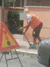 Allegato 20285