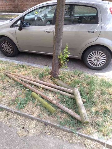 Materiale di sostegno alberi da smaltire/ripristinare