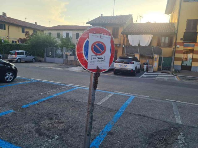 nido di api