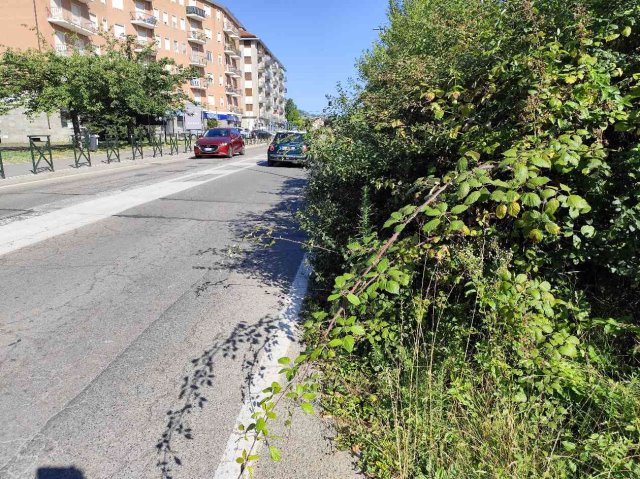 rovi sulla statale