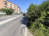 Allegato 20387