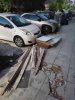 Allegato 20414