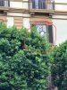 Allegato 20614