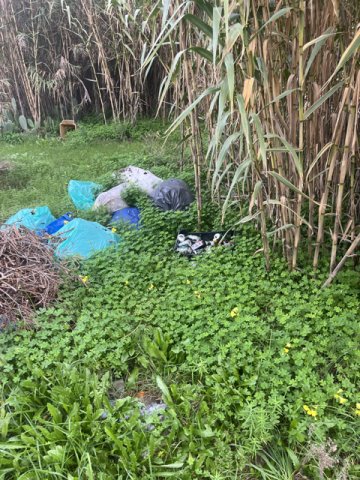 Segnalazione urgente degrado ambientale e rifiuti abusivi - Terreno adiacente Strada Vicinale Causa Pia (fronte Via della Musica 96-98)