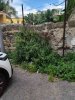 Allegato 21075