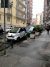 Allegato 21124