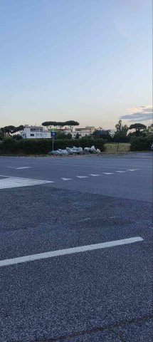 Disservizio raccolta del verde - abbandono sacchi nei punti di raduno e proposta migliorativa