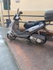 Allegato 21203