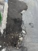 Allegato 21237