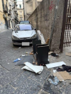 Allegato 21310
