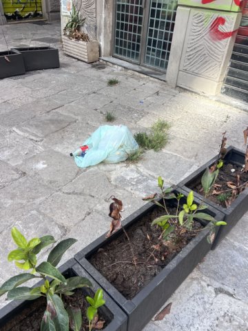 rifiuti abbandonati