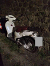 Allegato 21377
