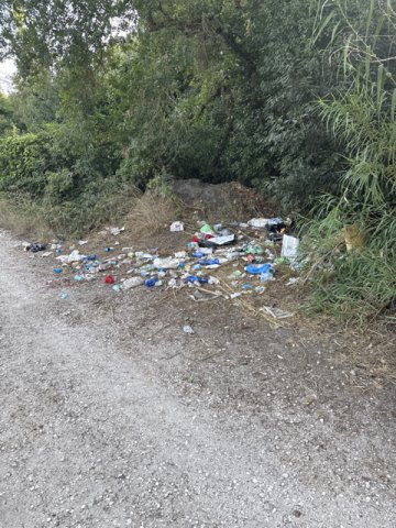 rifiuti sparsi lato strada dovuti da sacchi abbandonati e rotti da animali