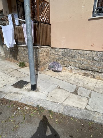 abbandono sacchi spazzatura
